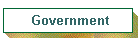 Government